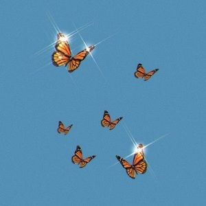 Meet your Posher, Michaela